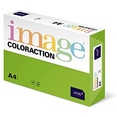 Antalis Coloraction 838A 160S Carta per fotocopie, 26 DIN, formato A4, 160 g/m², colore: Verde prato Antalis Coloraction 838A 160S Carta per fotocopie, 26 DIN, formato A4, 160 g/m², colore: Verde prato