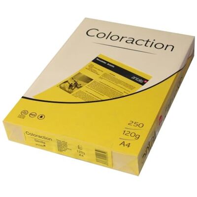Carta colorata Coloraction Sevilla - DIN A4, 210x297mm, 120 g/m², 250 fogli Carta colorata Coloraction Sevilla - DIN A4, 210x297mm, 120 g/m², 250 fogli