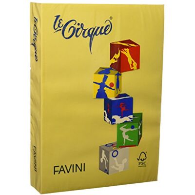 Favini Le Cirque Carta Colorata Favini Le Cirque Carta Colorata