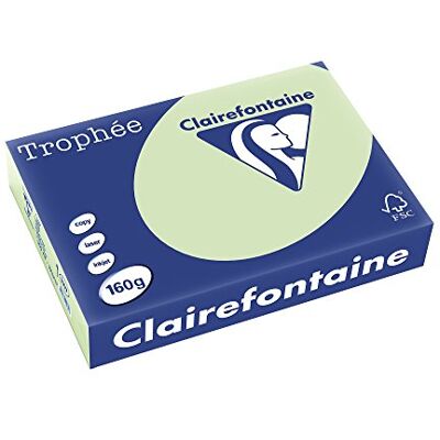 Clairefontaine Trophée 250 Fogli di Carta Colorata Formato A4, 160 g per m2, Colore Verde Golf Clairefontaine Trophée 250 Fogli di Carta Colorata Formato A4, 160 g per m2, Colore Verde Golf
