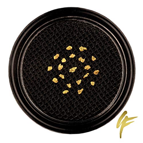 Gold-Fieber 10, 20, 50 pepite d'oro autentiche in Alaska con certificato 20-23 carati, 1-2 mm, moneta (20 nugpite d'oro).