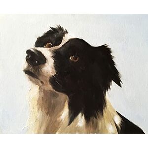 James Coates Border Collie Card, biglietto di auguri con pittura di un cane da pastore di , formato A5, bianco interno, multicolore, ()