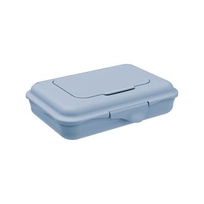 Rotho Babydesign Contenitore per salviettine umidificate, blu, 0,45 l, per salviettine umidificate, salviette per bambini, salviettine per la pulizia, dispenser di salviettine umidificate ricaricabile Rotho Babydesign Contenitore per salviettine umidificate, blu, 0,45 l, per salviettine umidificate, salviette per bambini, salviettine per la pulizia, dispenser di salviettine umidificate ricaricabile