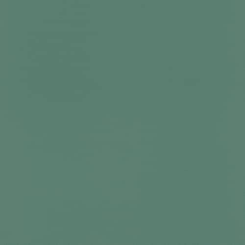 Rasch Carta da parati , in tessuto non tessuto, 10,05 m x 0,53 m (L x l), colore: Verde