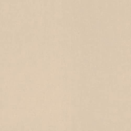 Rasch Carta da parati  – Carta da parati liscia in tessuto non tessuto con effetto tessile in beige della collezione Sophia – 10,05 m x 0,53 m (lunghezza x larghezza)