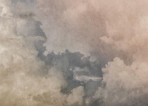Rasch Carta da parati  – Carta da parati fotografica su tessuto non tessuto con nuvole e cielo, in bianco e blu, 2,65 m x 3,71 m (lunghezza x larghezza)
