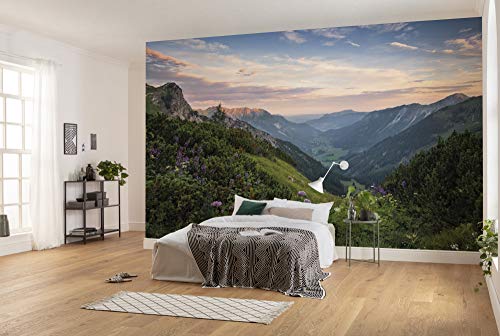 Komar Carta da parati fotografica in tessuto non tessuto, misura XXL, motivo: paesaggio naturale, dimensioni 450 x 280 cm (L x A), multicolore