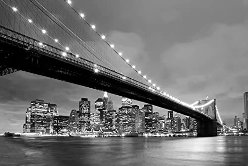 Papermoon WTD Carta da parati fotografica in tessuto non tessuto, stampa digitale con immagine di New York Bridge, colore: Bianco/Nero