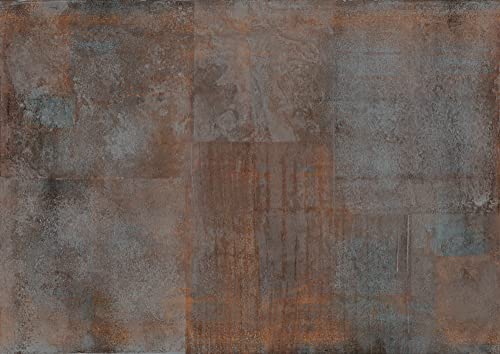 Rasch Tapete  Carta da parati fotografica in tessuto non tessuto con effetto metallo marrone, effetto ruggine, 3 m x 4,24 m (lunghezza x larghezza)