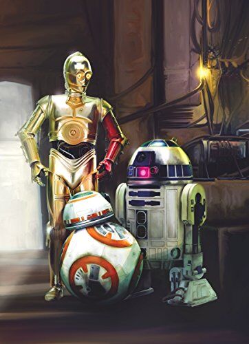 Komar ' – Fotomurale"Star Wars Three Droids, 1 pz, multicolore,