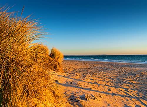 Papermoon WTD Mantiburi Carta da parati fotografica in tessuto non tessuto, stampa digitale con immagine di Dunes Chelsea Beach Australia