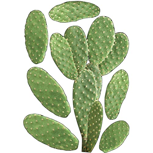 Plage 48 x 68 cm – Adesivo da Parete Cactus, in Vinile, Multicolore, 68 x 0,1 x 47,7 cm