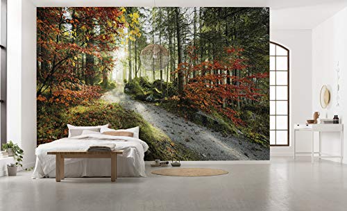 Komar Carta da parati in tessuto non tessuto, misura XXL, decorazione, natura, paesaggio, camera da letto, soggiorno, ufficio, corridoio, dimensioni 450 x 280 cm (L x A), multicolore