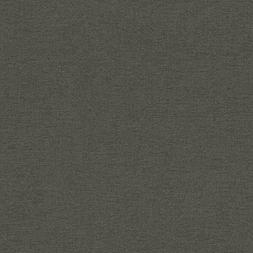 Rasch Carta da parati Florentine II 449853 – Carta da parati in tessuto non tessuto tinta unita in grigio scuro, 10,05 m x 53 cm (lunghezza x larghezza)