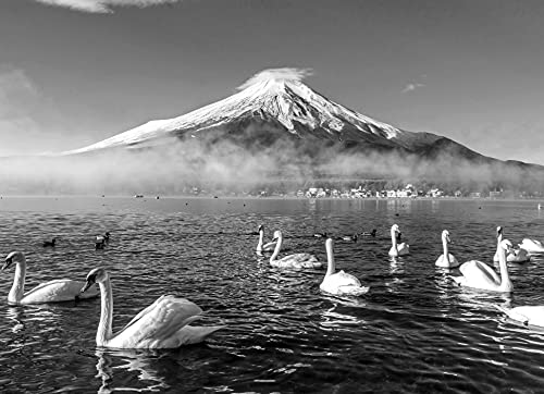 Papermoon WTD Mantiburi Carta da parati fotografica in tessuto non tessuto con immagine di monte Fuji con cigni, colore: Nero/Bianco, con colla inclusa, diverse