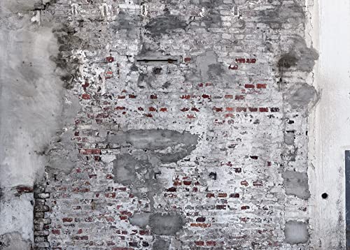 Rasch Wallpaper  Carta da parati fotografica in tessuto non tessuto con muro di pietra rustico e effetto cemento, 3,00 m x 4,18 m (lunghezza x larghezza)