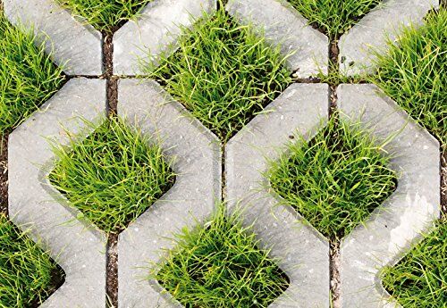 Genius 5194 – 4 V di 1 foto carta da Cobblestone e Grass