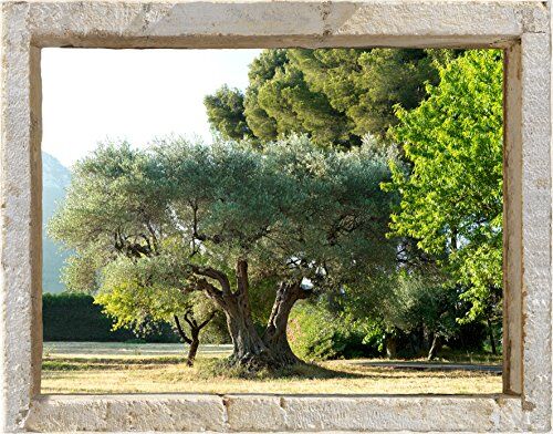 PLAGE Adesivo per pareti Trompe L'Oeil Finestra, Oliva, 60 x 75 cm