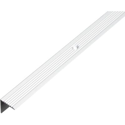 Alberts Profilo di protezione per paragradini, Alluminio, anodizzato argento, 1000 x 19 x 19 mm Alberts Profilo di protezione per paragradini, Alluminio, anodizzato argento, 1000 x 19 x 19 mm