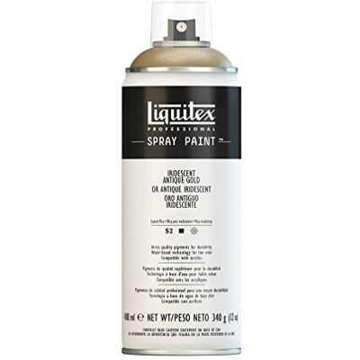 Liquitex Vernice Spray Professionale A Base D'acqua, Oro Antico Iridescente, 400 ml, 1 Pezzo Liquitex Vernice Spray Professionale A Base D'acqua, Oro Antico Iridescente, 400 ml, 1 Pezzo