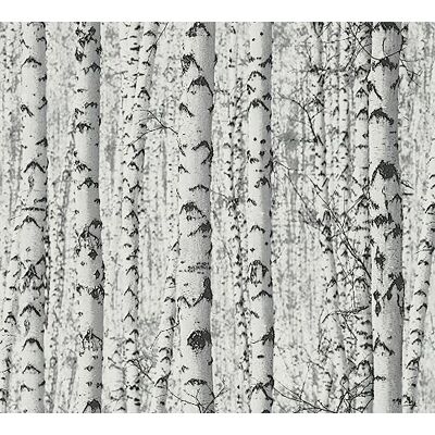 A.S. Création Carta da parati autoadesiva con foresta di betulla, colore nero e bianco, 0,52 x 2,5 m, made in Germany A.S. Création Carta da parati autoadesiva con foresta di betulla, colore nero e bianco, 0,52 x 2,5 m, made in Germany
