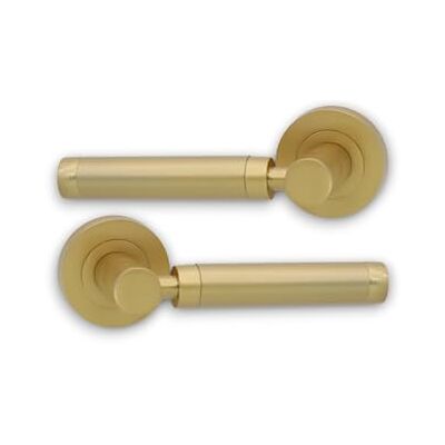 Infinity Coppia di maniglie a leva diritta in zinco massiccio Zishan su rosetta a molla in finitura ottone satinato per uso interno ed esterno Infinity Coppia di maniglie a leva diritta in zinco massiccio Zishan su rosetta a molla in finitura ottone satinato per uso interno ed esterno