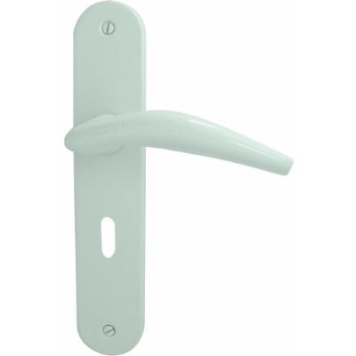 DT 2000 Chamonix Maniglia per porta su piastra con serratura, in alluminio, colore: Bianco DT 2000 Chamonix Maniglia per porta su piastra con serratura, in alluminio, colore: Bianco