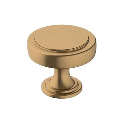 Amerock Pomello per armadietto, bronzo champagne, diametro 38 mm, superato, confezione da 1, pomello per cassetti, hardware per armadietti Amerock Pomello per armadietto, bronzo champagne, diametro 38 mm, superato, confezione da 1, pomello per cassetti, hardware per armadietti