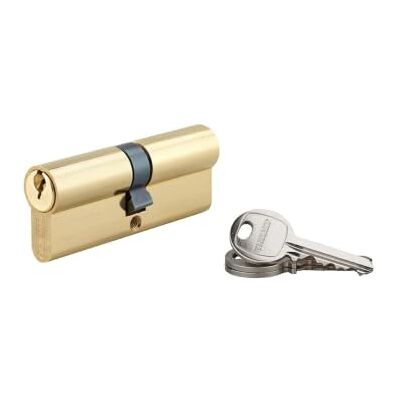 THIRARD - Cilindro europeo a doppia entrata SA 40x40 - Ottone - 3 chiavi - Lock cylinder THIRARD - Cilindro europeo a doppia entrata SA 40x40 - Ottone - 3 chiavi - Lock cylinder