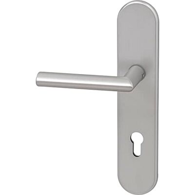 GRUNDMANN Argento 7552 Johannes su targa lunga PZ 88, Maniglia e Pomello Porta Blindata, Maniglie Porte ÖNORM, Alluminio Anodizzato GRUNDMANN Argento 7552 Johannes su targa lunga PZ 88, Maniglia e Pomello Porta Blindata, Maniglie Porte ÖNORM, Alluminio Anodizzato