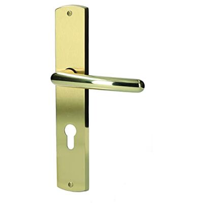 Alpertec Porta lsabella LS in ottone lucidato/ottone satinato per casa un corridoio porte PZ pulsante set maniglia porta guarnizioni, Alpertec Porta lsabella LS in ottone lucidato/ottone satinato per casa un corridoio porte PZ pulsante set maniglia porta guarnizioni,