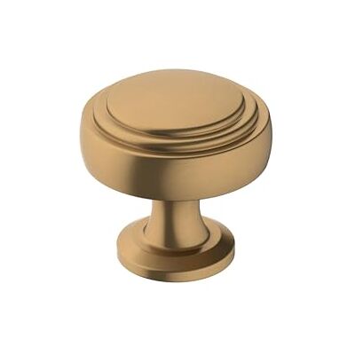 Amerock Pomello per armadietto, bronzo champagne, diametro 32 mm, Winsome, confezione da 1, pomello per cassetti, hardware per armadietti Amerock Pomello per armadietto, bronzo champagne, diametro 32 mm, Winsome, confezione da 1, pomello per cassetti, hardware per armadietti