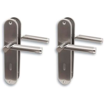Alpertec Set di 2 accessori per porta in acciaio inox lucidato/laccato lucido satinato, per 2 porte, con fori di chiusura, maniglia e maniglia per porta Alpertec Set di 2 accessori per porta in acciaio inox lucidato/laccato lucido satinato, per 2 porte, con fori di chiusura, maniglia e maniglia per porta