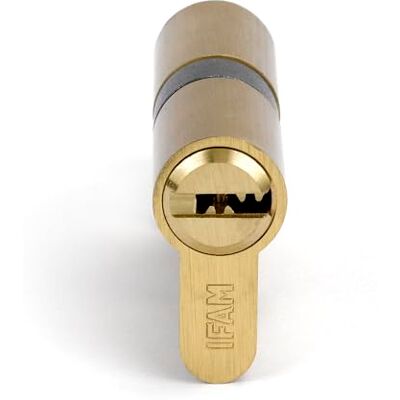 Ifam Cylinder Start STRP3030L, serratura di sicurezza cilindrica, superficie in ottone, 30 x 30 mm, piombata, con 5 chiavi di sicurezza in acciaio nichelato, cilindro europeo, porta interna ed esterna Ifam Cylinder Start STRP3030L, serratura di sicurezza cilindrica, superficie in ottone, 30 x 30 mm, piombata, con 5 chiavi di sicurezza in acciaio nichelato, cilindro europeo, porta interna ed esterna