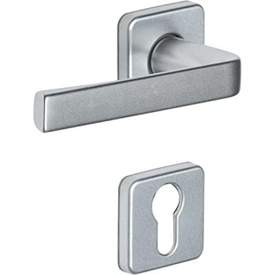 Vachette Set di maniglie per porta su rosette chiave L KAZA per porta della camera e dell'ufficio Materiale alluminio resistente Garanzia 10 anni Finitura argento Vachette Set di maniglie per porta su rosette chiave L KAZA per porta della camera e dell'ufficio Materiale alluminio resistente Garanzia 10 anni Finitura argento