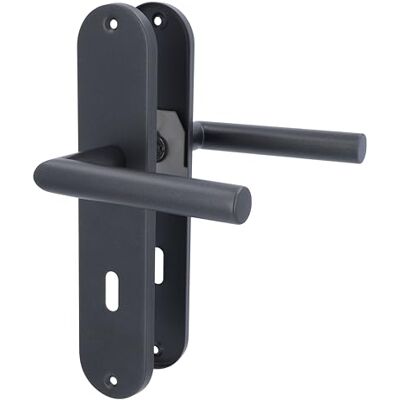 Alpertec Conte-LS Set da ristrutturazione per porte di camera, in acciaio inox, colore: grigio cashmere Alpertec Conte-LS Set da ristrutturazione per porte di camera, in acciaio inox, colore: grigio cashmere