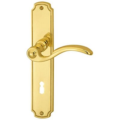 Alpertec Rica con Piastra Lunga, Maniglia per Porta Alpertec Rica con Piastra Lunga, Maniglia per Porta