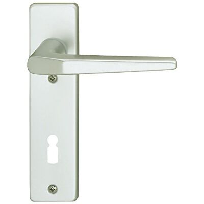 Alpertec Alluminio FLORENCE – corta cartello anodizzato per casa porte di ingresso PZ pulsante/pulsante, 72 mm, argento, 40040670 K1 Alpertec Alluminio FLORENCE – corta cartello anodizzato per casa porte di ingresso PZ pulsante/pulsante, 72 mm, argento, 40040670 K1