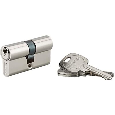 Thirard Cilindro di serratura a panneton ridotto STD 30 x 30 mm – Sistema di sicurezza a doppio ingresso ottone finitura nichel – Uso porta d'ingresso – Made in France – Consegnato con 3 chiavi dentate – Thirard Cilindro di serratura a panneton ridotto STD 30 x 30 mm – Sistema di sicurezza a doppio ingresso ottone finitura nichel – Uso porta d'ingresso – Made in France – Consegnato con 3 chiavi dentate –