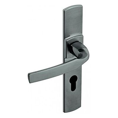 Vachette ARTIS Set di maniglie per porta su piastra Versione chiave I per porta d'ingresso, cantina, capanni da giardino a cilindro, interasse 195 mm, in Zamak resistente, garanzia 10 anni Vachette ARTIS Set di maniglie per porta su piastra Versione chiave I per porta d'ingresso, cantina, capanni da giardino a cilindro, interasse 195 mm, in Zamak resistente, garanzia 10 anni