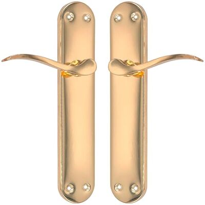 Micel Set di maniglia per porta con piastra in acciaio e maniglia in alluminio, finitura ottonata, colore: oro, 240 x 123 x 50 mm Micel Set di maniglia per porta con piastra in acciaio e maniglia in alluminio, finitura ottonata, colore: oro, 240 x 123 x 50 mm