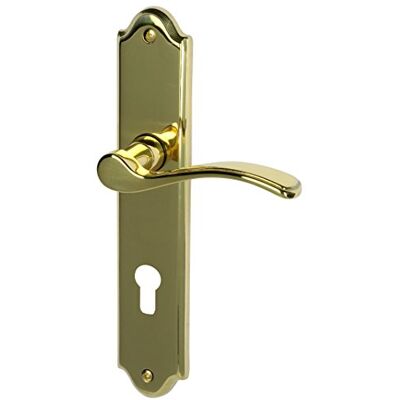 Alpertec Porta Lori LS in ottone lucidato per casa un corridoio porte PZ pulsante set maniglia porta guarnizioni, Alpertec Porta Lori LS in ottone lucidato per casa un corridoio porte PZ pulsante set maniglia porta guarnizioni,