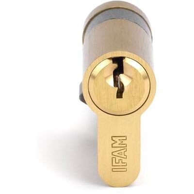 Ifam Cylinder Start STS1030L, serratura cilindrica di sicurezza cilindrica, in ottone, 10 x 30 mm, con 3 chiavi serrata in acciaio nichelato, cilindro europeo, serrature interne ed esterne Ifam Cylinder Start STS1030L, serratura cilindrica di sicurezza cilindrica, in ottone, 10 x 30 mm, con 3 chiavi serrata in acciaio nichelato, cilindro europeo, serrature interne ed esterne