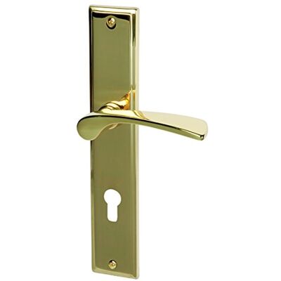 Alpertec Porta Nelson LS in ottone lucidato per casa un corridoio porte PZ pulsante set maniglia porta guarnizioni, Alpertec Porta Nelson LS in ottone lucidato per casa un corridoio porte PZ pulsante set maniglia porta guarnizioni,