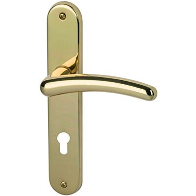 Alpertec haeusler-shop Franziska – LS in ottone lucidato per casa porte di ingresso PZ maniglia porta maniglia porta guarnizioni, Alpertec haeusler-shop Franziska – LS in ottone lucidato per casa porte di ingresso PZ maniglia porta maniglia porta guarnizioni,
