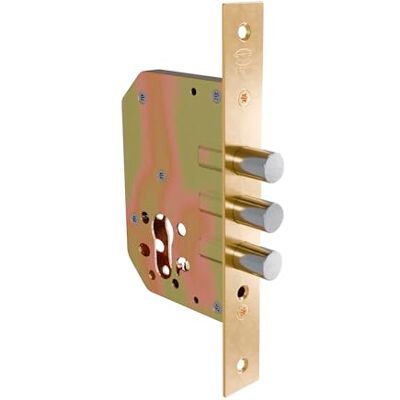 Amig Serratura ausiliaria da incasso per porte in legno Spostamento 20 mm e Ingresso: 50 mm. Senza maniglia Acciaio Ottonato Include viti Amig Serratura ausiliaria da incasso per porte in legno Spostamento 20 mm e Ingresso: 50 mm. Senza maniglia Acciaio Ottonato Include viti