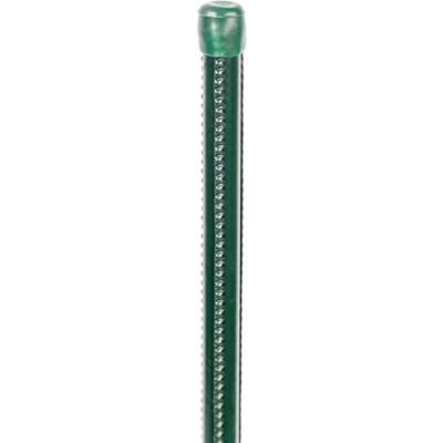 Alberts Asta universale, colore: Verde Alberts Asta universale, colore: Verde