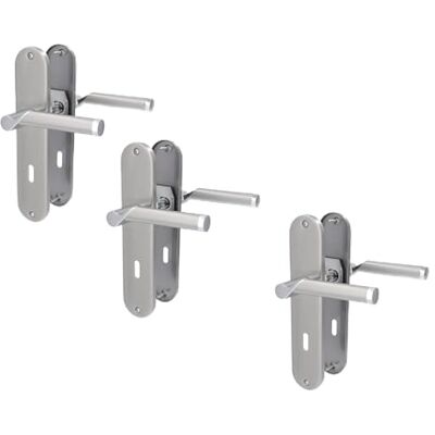 Alpertec Set di 3 accessori per la ristrutturazione della porta, in acciaio inox lucidato/satinato, laccato lucido, per 3 ante con fori per barba, maniglia della porta, maniglia della porta Alpertec Set di 3 accessori per la ristrutturazione della porta, in acciaio inox lucidato/satinato, laccato lucido, per 3 ante con fori per barba, maniglia della porta, maniglia della porta