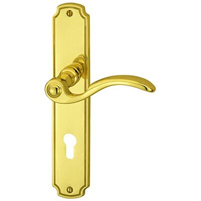 Alpertec Porta Rebeca LS in ottone lucidato per casa un corridoio porte PZ pulsante set maniglia porta guarnizioni, Alpertec Porta Rebeca LS in ottone lucidato per casa un corridoio porte PZ pulsante set maniglia porta guarnizioni,
