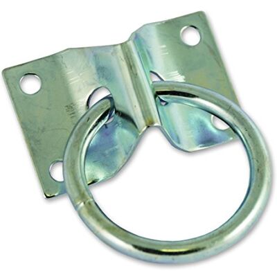 Chapuis – Set di 20 piatti con anello – Acciaio Zincato – Diametro 7 mm – Diametro interno 50 mm – dimensioni platino 70 x 45 mm, Grigio, Set di 20 pezzi Chapuis – Set di 20 piatti con anello – Acciaio Zincato – Diametro 7 mm – Diametro interno 50 mm – dimensioni platino 70 x 45 mm, Grigio, Set di 20 pezzi
